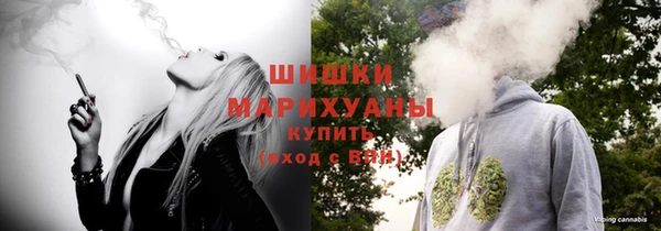 ECSTASY Бородино