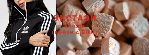 ECSTASY Бородино