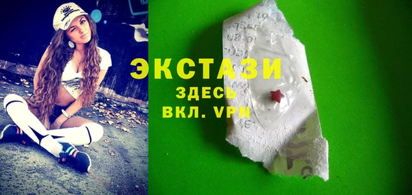 ECSTASY Бородино