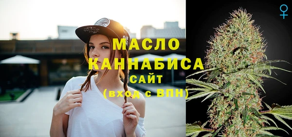 ECSTASY Бородино